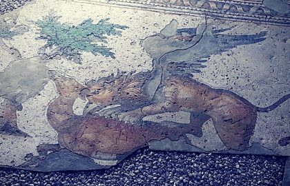 griffin