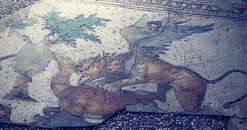 griffin